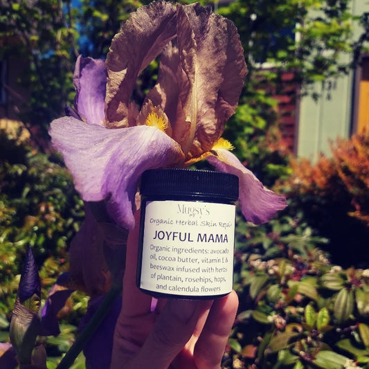 JOYFUL MAMA organic herbal skin repair ointment